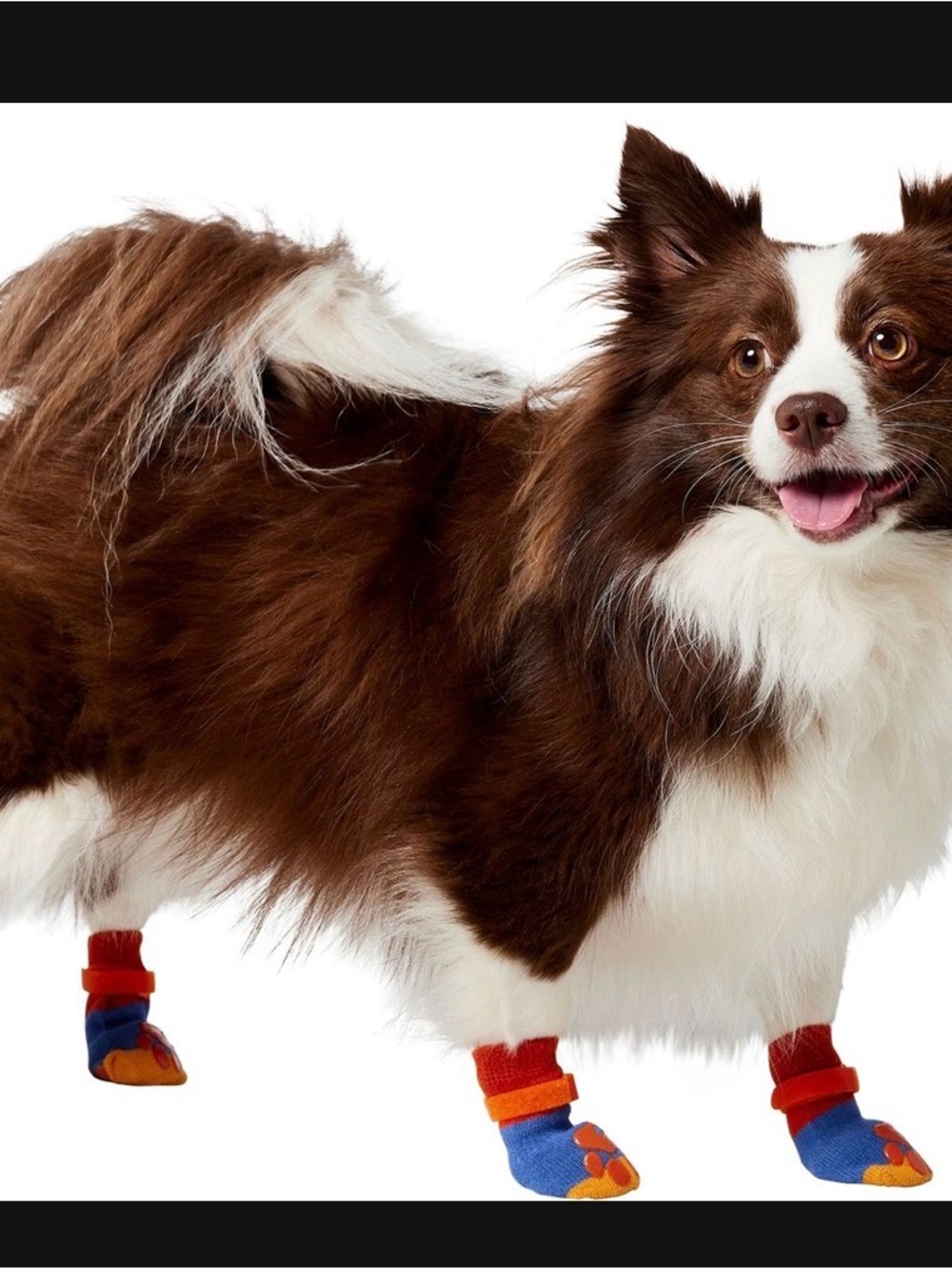 NWT Non-Skid Colorblock Dog Socks, Size 3